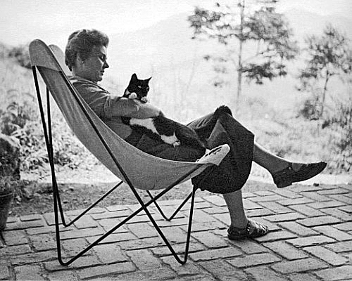 Elizabeth Bishop in Brazil with her cat, Tobias.